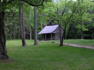 Carter Shields Cabin