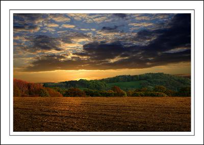Golden sunset, Dorset