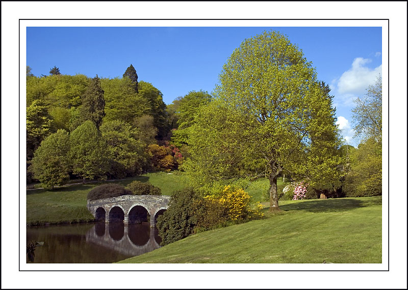 Turf bridge and tree, Stourhead ~ Stourhead