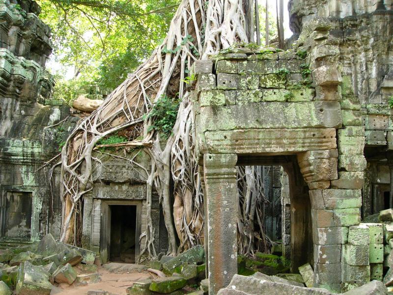 Ta Prohm
