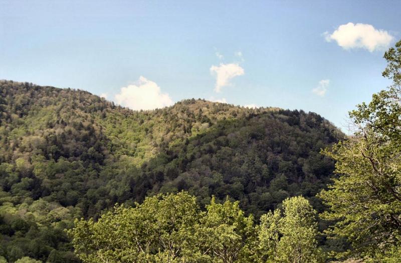 Chimney Tops Overlook