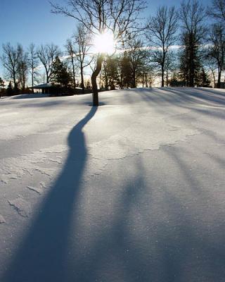 Snow Shadows by Howard Sandler