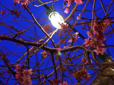 night light by Klack