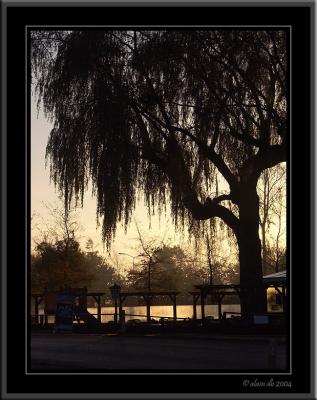 A new day ~ alain db