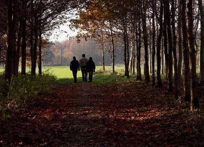 Fall walk ~ alain db