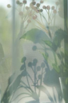 Curtain By Nico VG