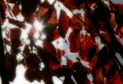 Already Autumn? by MarkusU