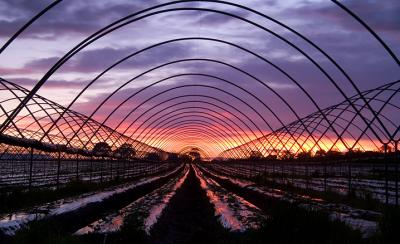 3rd - Light At The End Of The Tunnel by Neil Paskin