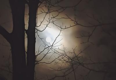 full moon thru trees - by Ransom