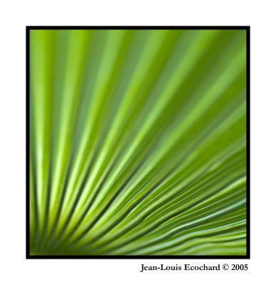 Green Fan by Jean-Louis Ecochard