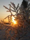 Frozen sunrise by Aswulf