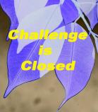 Challenge is Closed