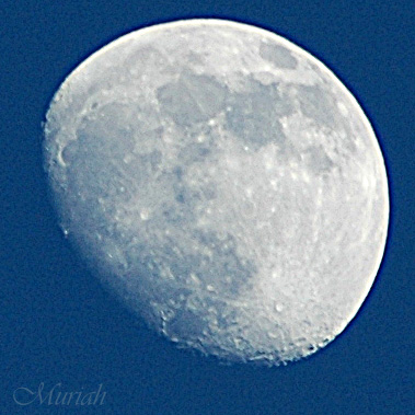 Sunset Moon Waxin 05-19-05
