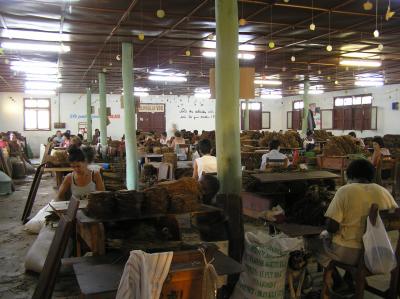 Cuban cigars