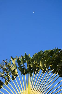 IMG_4221.jpg