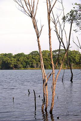 IMG_3339.jpg