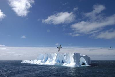 Drake Passage 1st ice 1