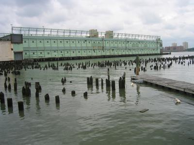 Pilings.jpg