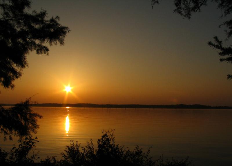 SunStar