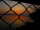 SunDown Through The Fence