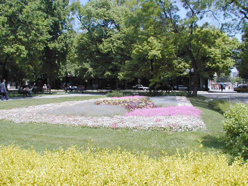 P5185670.JPG