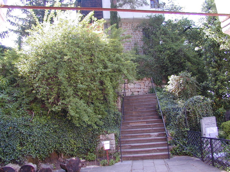 P5175533.JPG