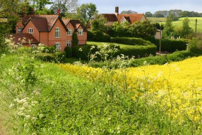 Scenes From the English Countryside