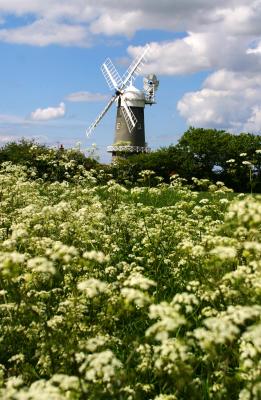 Scenes From Norfolk