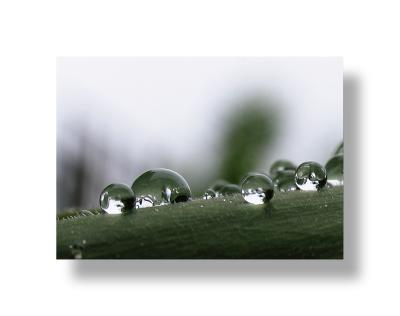 droplets