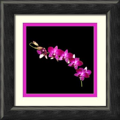 purple pink multiple-framed