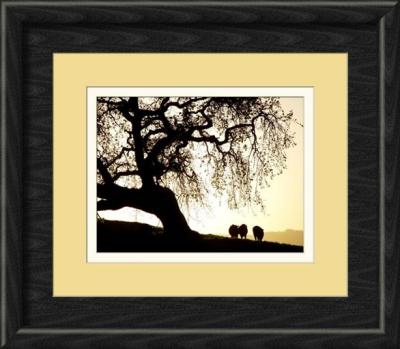 sunset grazing-framed