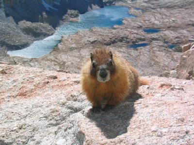 Mt. Whitney 2004