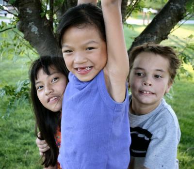 three  in  a  tree