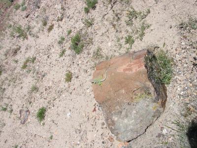 IMG_0672.JPG