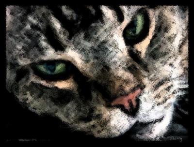 Peepers