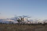 _DSC8533 landscape moorinya twilight clouds and trees
