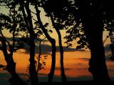 PICT0108a.jpg