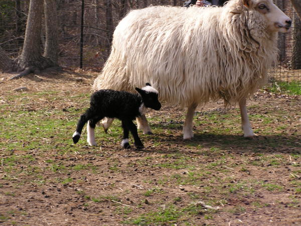 Lets go mom!!.JPG