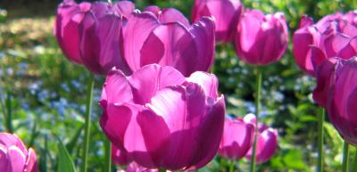 weekend_51205