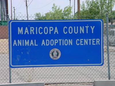 Maricopa County animal adoption center