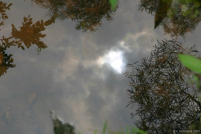reflection of the sun