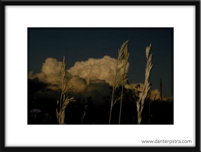 Storm Cloud Growth