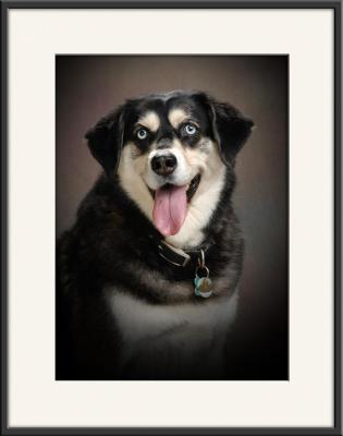Sheba_8063.jpg