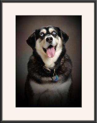 Sheba_8075.jpg