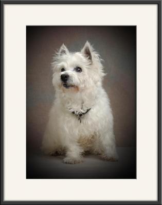 Sparky_8112.jpg