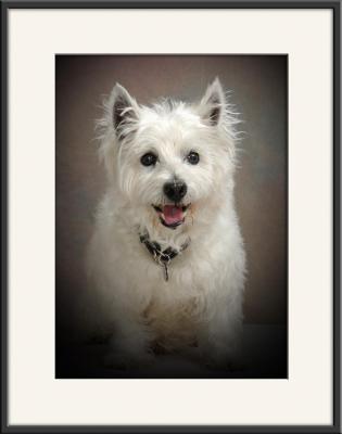 Sparky_8130.jpg