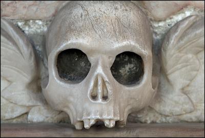 skull 1.jpg