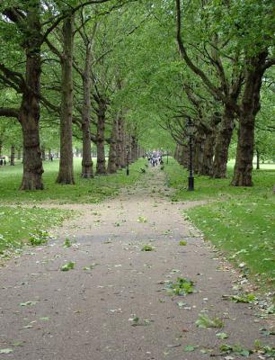 strong winds in Green Park