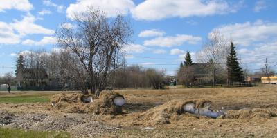 Snow lurking under grass May 12th