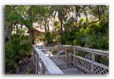 The Boardwalk to the Cedar House and River Lodge